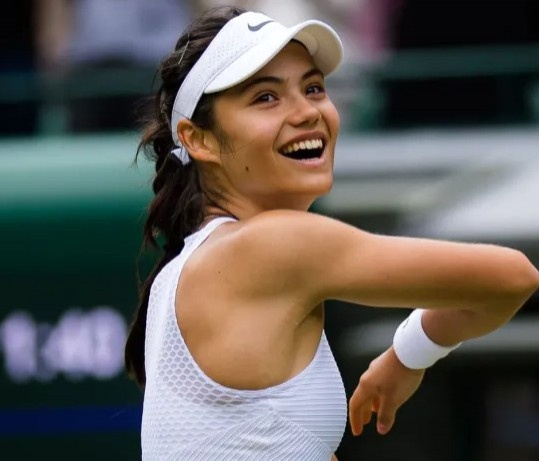 因素之一 因素之一