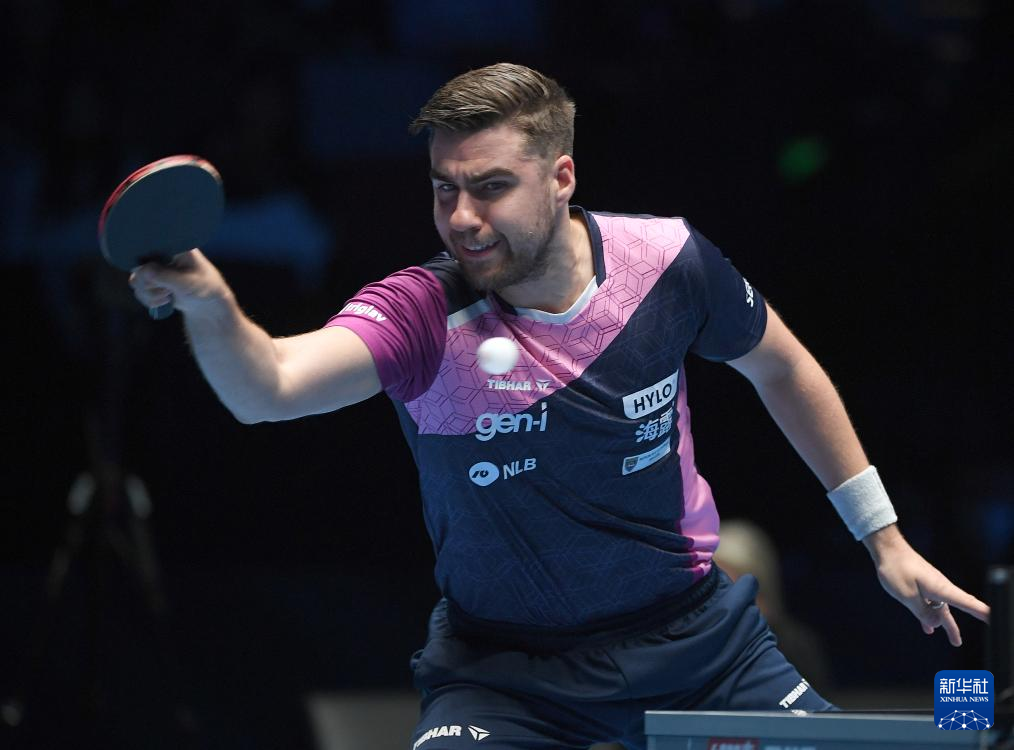 铩羽而归 铩羽而归