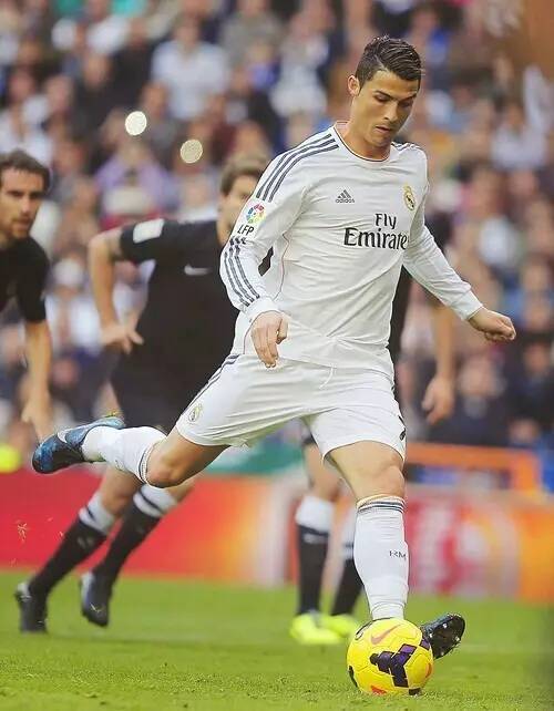 赛的未来 赛的未来